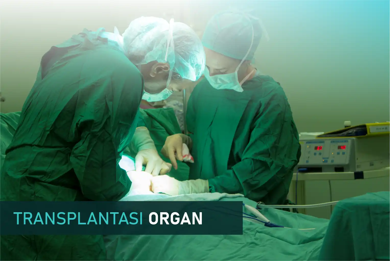 Transplantasi Organ